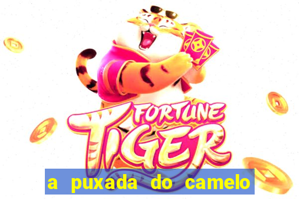 a puxada do camelo no jogo do bicho